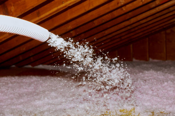 Best Geographic-Specific Insulation Services in Englewood, TN